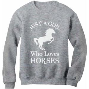 imageTstars  A Girl Who Loves Horses Horse Lover Gift Women SweatshirtGray