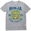 imageTMNT Adult Teenage Mutant Ninja Turtle Shirt Gifts for Men Turtles Character Group Mens TShirtClassic  Gray