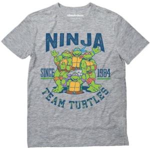 imageTMNT Adult Teenage Mutant Ninja Turtle Shirt Gifts for Men Turtles Character Group Mens TShirtClassic  Gray