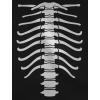 imageSkeleton Shirt Rib Cage Skull Hands Halloween Shirts for Women Teen GirlsBlack