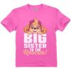 imageBig Brother Shirt for Toddler Rubble Paw Marshall Skye Chase Patrol Toddler Kids TShirtPink