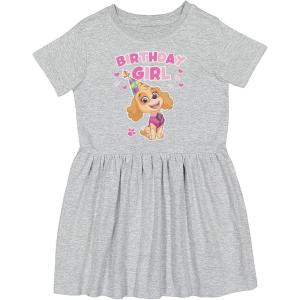 imagePaw Patrol Girls Skye Birthday Girl Dresses 1st 2nd 3rd 4th Bday Toddler Spring Summer DressSky Birthday  Gray