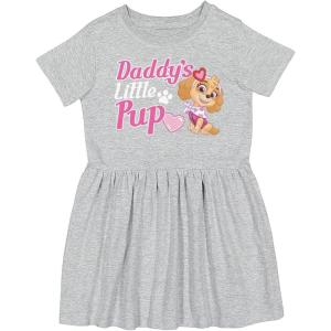 imagePaw Patrol Girls Skye Birthday Girl Dresses 1st 2nd 3rd 4th Bday Toddler Spring Summer DressSky Daddy  Gray