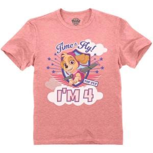 imagePaw Patrol Pup Skye 4 5 Gifts for Four Five Years Old Girls 4th 5th Birthday Girl Theme Party Toddler Kids TShirtSkye Fly 4th  Heather Mauve