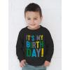 imageIts My Birthday Toddler Kids Shirt Gifts for Girls Boys 2nd 3rd 4th 5th Bday Toddlers Long Sleeve TShirtBlack