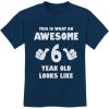 imageAwesome 6 Year Old 6th Birthday Shirt Gifts for Girls Boys Youth Kids TShirtNavy