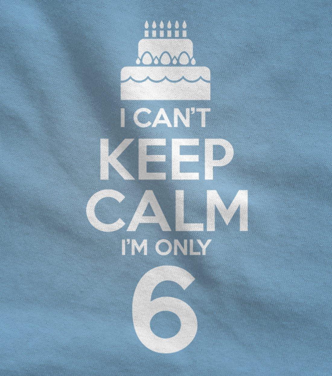 imageBirthday Cake Shirt I Cant Keep Calm Im 6 Childrens Cute Kids TShirtGray
