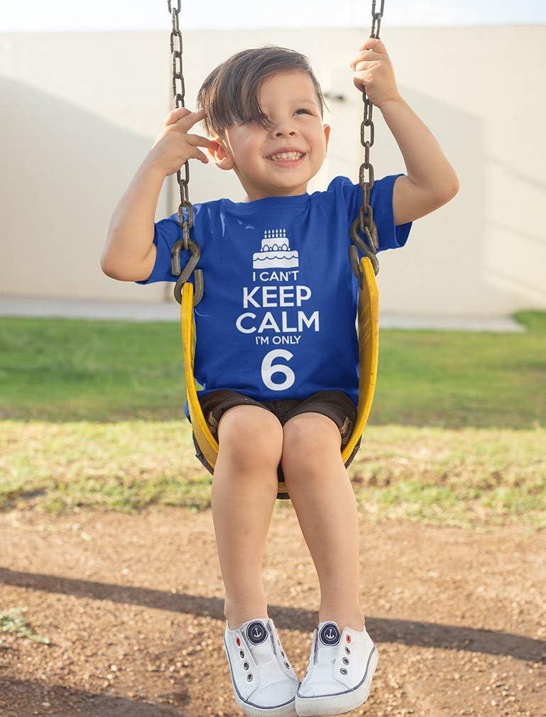 imageBirthday Cake Shirt I Cant Keep Calm Im 6 Childrens Cute Kids TShirtGray