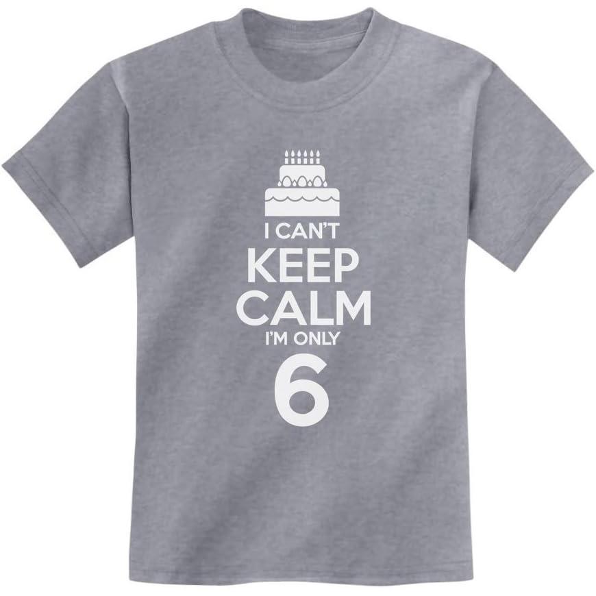 imageBirthday Cake Shirt I Cant Keep Calm Im 6 Childrens Cute Kids TShirtGray