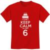 imageBirthday Cake Shirt I Cant Keep Calm Im 6 Childrens Cute Kids TShirtRed