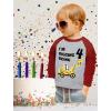 imageIm Digging Being 4 4th Birthday Shirt Boy Kids 34 Sleeve Baseball TShirtRed