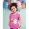 imageNickelodeon Paw Patrol Skye Birthday Girl 2nd Birthday Gift Toddler Girls Shirt Time FliesTime Flies