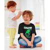 imageDinosaur Big Brother Shirt Baby Announcement Sibling Boys Toddler Kids TShirt 2T Black