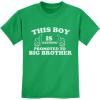 imageThis Boy is Getting Promoted to Big Brother Sibling Boys Toddler Kids TShirtGreen
