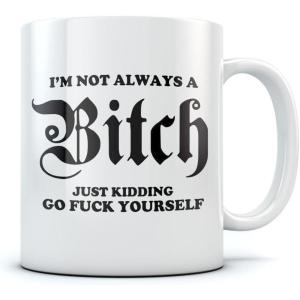 imageIm Not Always A Bitch Funny Coffee Mug Gift For Best FriendWifeMotherGirlfriendSisterBoss  Novelty Office Tea Cup Ceramic Mug 15 Ounce WhiteWhite
