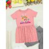 imageTstars Paw Patrol Girls Skye Birthday Girl Dresses 1st 2nd 3rd 4th Bday Toddler Spring Summer DressEaster  Mauvelous Mauvelous Spot