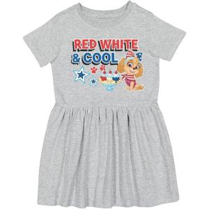 imageTstars Paw Patrol Girls Skye Birthday Girl Dresses 1st 2nd 3rd 4th Bday Toddler Spring Summer Dress4th of July  Gray