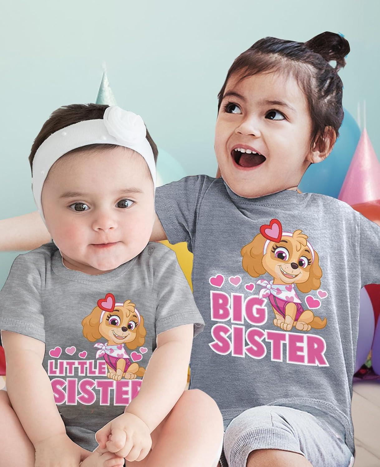 imageTstars Paw Patrol Skye Big Sister Little Sister Matching Outfits Girls Sibling ShirtsKid Gray  Baby Gray