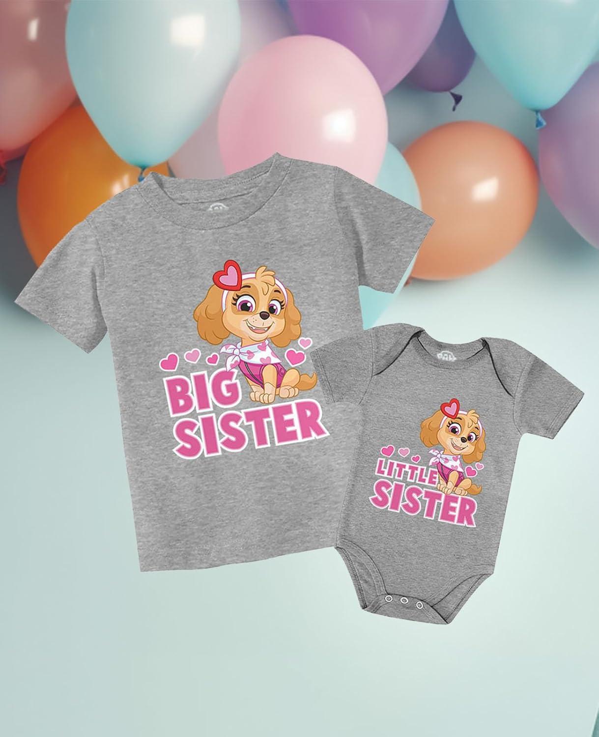 imageTstars Paw Patrol Skye Big Sister Little Sister Matching Outfits Girls Sibling ShirtsKid Gray  Baby Gray