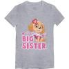 imageTstars Paw Patrol Skye Big Sister Shirt Outfit Gift Toddler Kids Girls Fitted TShirtGray