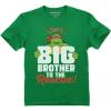 imageTstars TMNT Mutant Ninja Turtles Big Brother Shirt for Boys Kids Youth Kids TShirtGreen