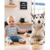 imageTstars My Siblings Have Paws Dog Cat Sibling Outfits Funny Baby Boy Girl BodysuitGray