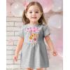 imageTstars Paw Patrol Skye Girl Dress  Toddler Spring Summer Outfit  1st 2nd 3rd 4th Birthday Dresses for GirlsSky Birthday  Gray