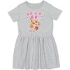 imageTstars Paw Patrol Skye Girl Dress  Toddler Spring Summer Outfit  1st 2nd 3rd 4th Birthday Dresses for GirlsSky Birthday  Gray