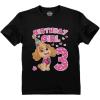 imageTstars Time Flies Skye 3rd Birthday Gift Toddler Kids TShirt Paw Patrol Birthday Girl ShirtPawsky  Black
