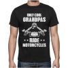 imageTstars TeeStars  Only Cool Grandpas Ride Motorcycles  Gift for Biker Papa TShirtBlack