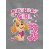imageBirthday Girl Paw Patrol Skye 3rd Toddler HoodieGray
