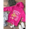 imageBirthday Girl Paw Patrol Skye 3rd Toddler HoodieGray