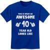 imageTstars Awesome 10 Year Old Birthday Shirt for Kids  Funny Gift for Boy or Girl Age 10  Youth Celebration TShirtBlue