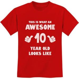 imageTstars Awesome 10 Year Old Birthday Shirt for Kids  Funny Gift for Boy or Girl Age 10  Youth Celebration TShirtRed