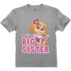 imageTstars Paw Patrol Skye Big Sister Shirt Girls Big Sister Outfit Toddler Kids TShirtGray