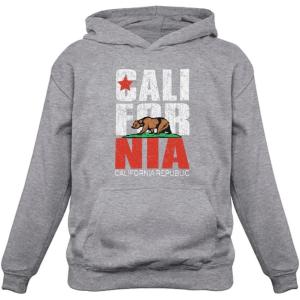 imageTstars California Bear Hoodie for Women  Retro Republic Pullover Gift for State Pride and West Coast LoversGrey