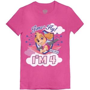 imagePaw Patrol Skye 4th Birthday Girls Fitted Shirt  Cute Pink Tee and Fun Party Gift for 4YearOldsIm 4  Wow Pink