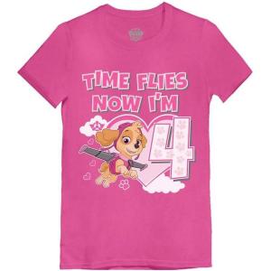 imagePaw Patrol Skye 4th Birthday Girls Fitted Shirt  Cute Pink Tee and Fun Party Gift for 4YearOldsTime Flies 4  Wow Pink