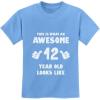 image:imageTstars This Is What an Awesome 12 Year Old Looks Like Youth Kids 12th Birthday TShirtCalifornia Blue