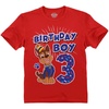 3rd Birthday / Red